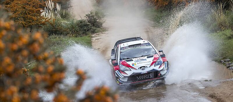 Südamerika im Doppelpack: Toyota Gazoo Racing bei der Rallye-Weltmeisterschaft.